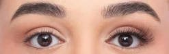 Faux-Cils Cluster