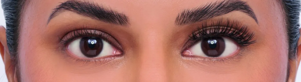 Full & Wispy Nº 184 Faux Cils