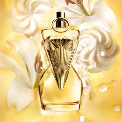 Gaultier Divine Coffret cadeau Eau de Parfum