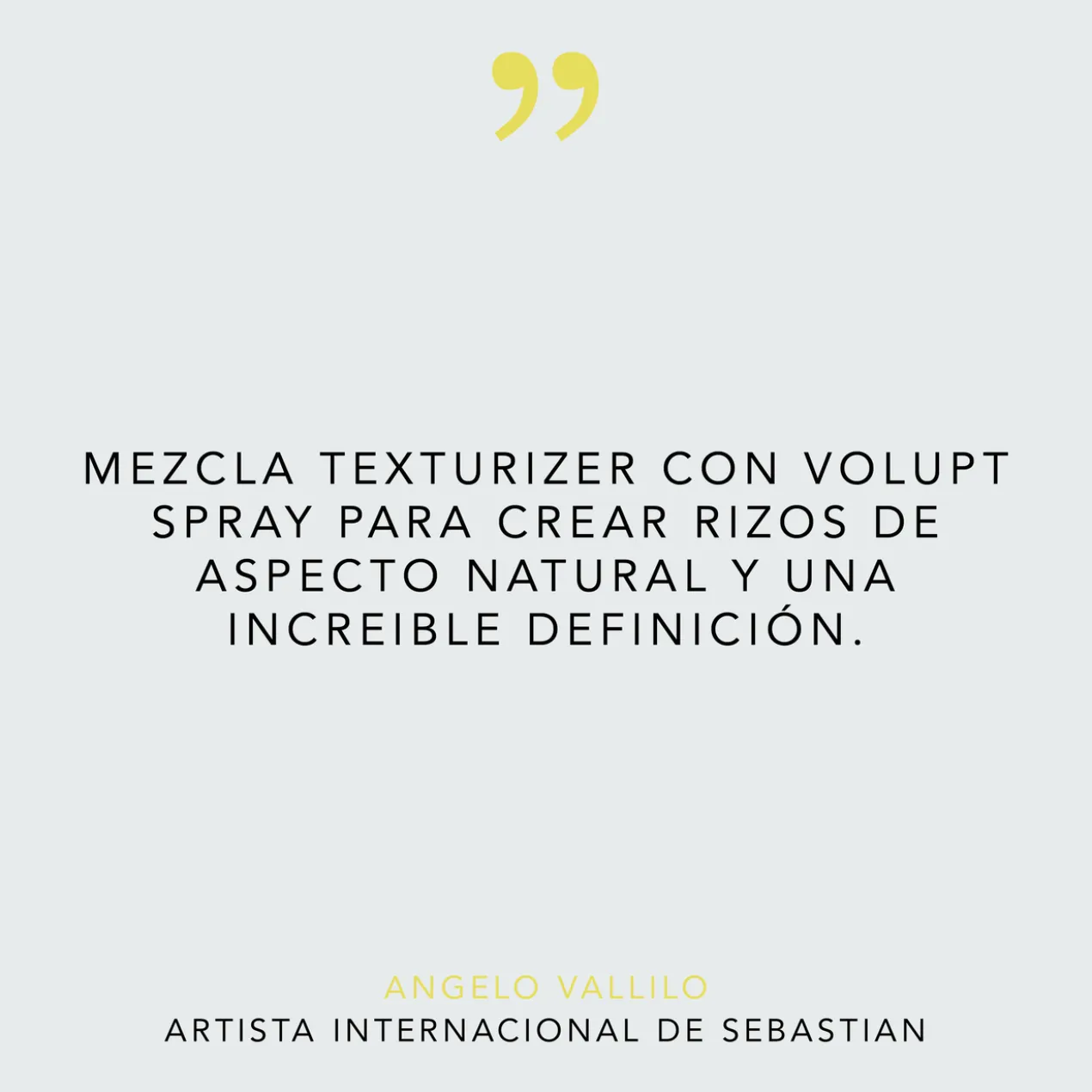 Gel Coiffant Texturizer