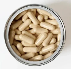 Gélules Ashwagandha KSM-66 Biologique Premium Quality