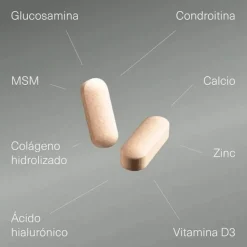 Gélules Glucosamine Chondroïtine