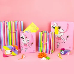 Grand Sac Cadeau Party