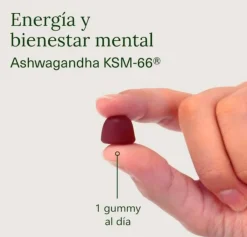 Gummies Ashwagandha KSM-66 Goût Cerise