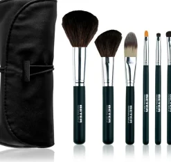 Kit professionnel de pinceaux
