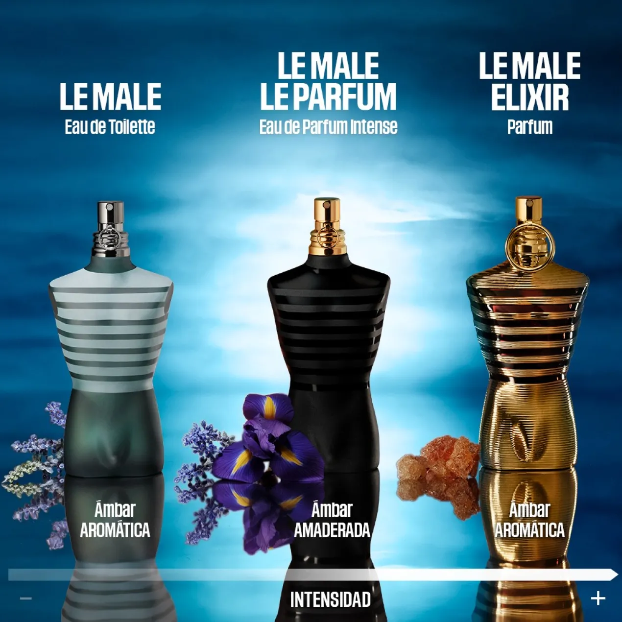 Le Male Eau de Toilette