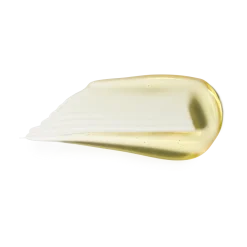 Lipglass Blow Ginger Zinger