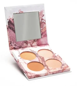 Looks Palette Brush