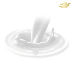 Lotion Nourrissant Intensif Peau Très Sèche