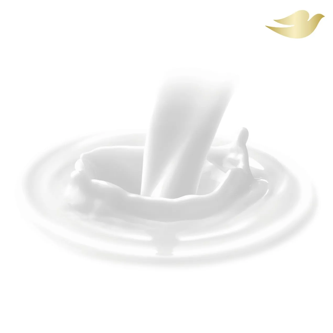 Lotion pour le Corps de Coco