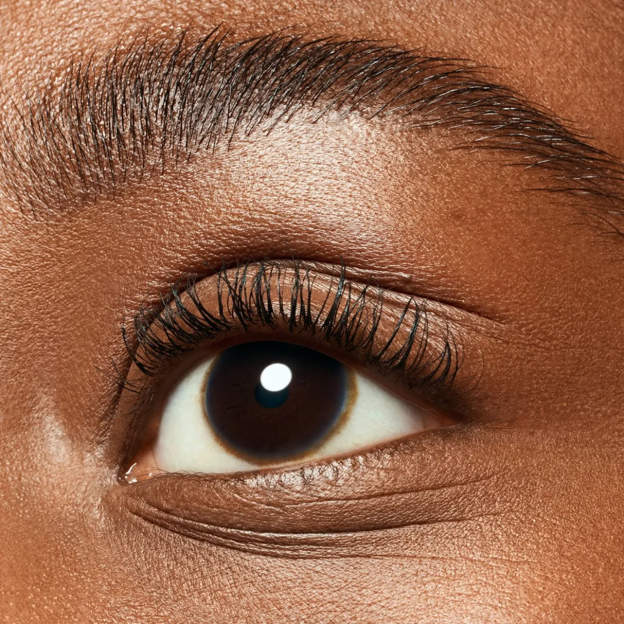 Masque Sourcils et Cils