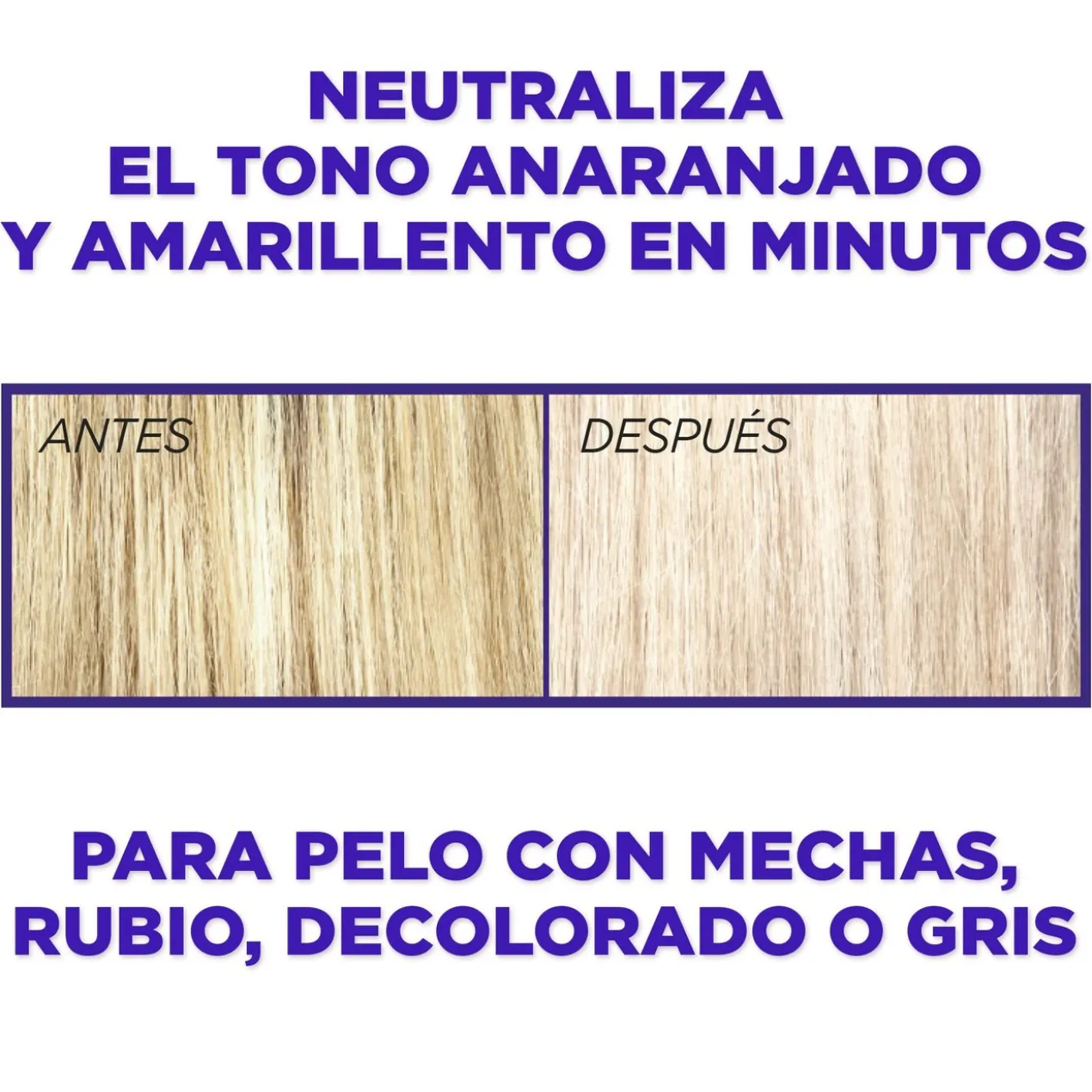 Masque Violet Matifiant