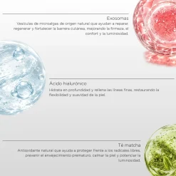 Masque Visage UnicRevive-X