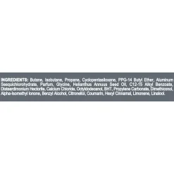 Men+Care Clean Comfort Déodorant Spray