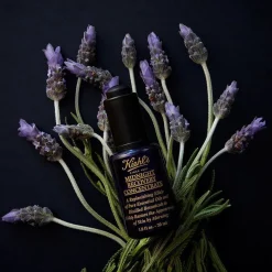 Midnight Recovery Concentrate Sérum Soin du visage
