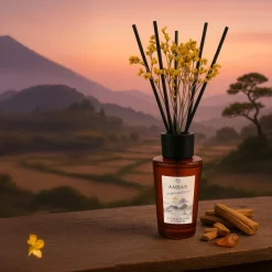 Mikado Premium Santal 2 en 1