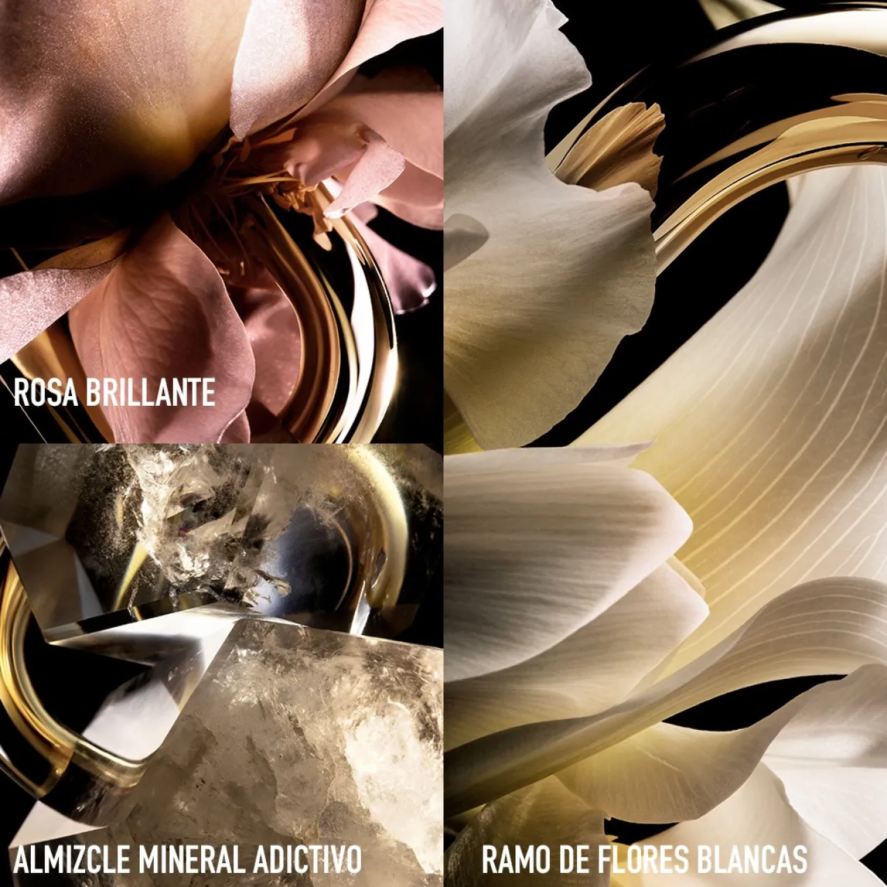 Million Gold For Her Eau de Parfum