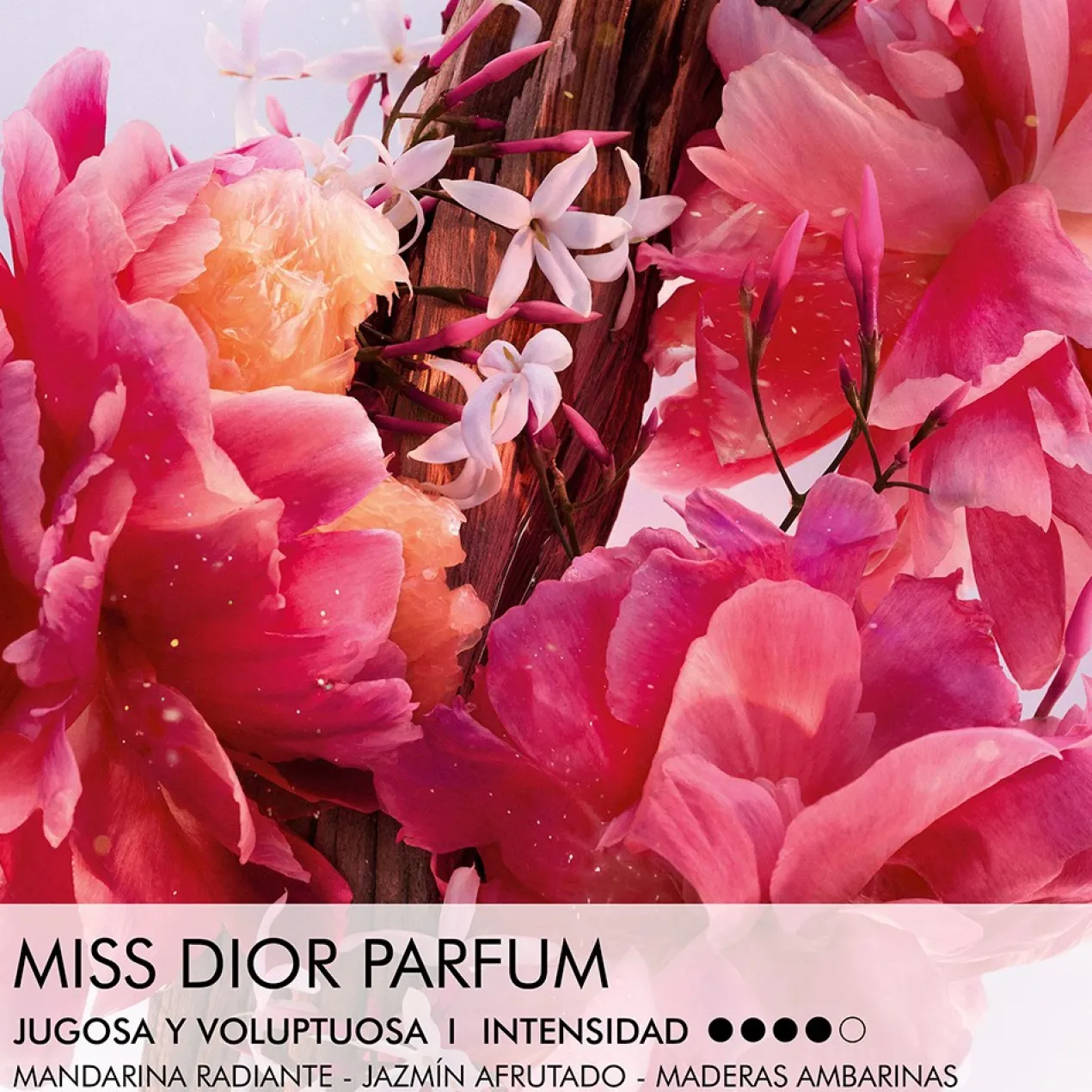 Miss Dior Parfum Roller-Pearl