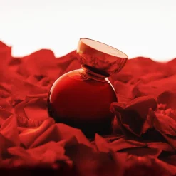 My Wish Addiction Eau de Parfum