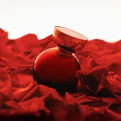 My Wish Addiction Eau de Parfum