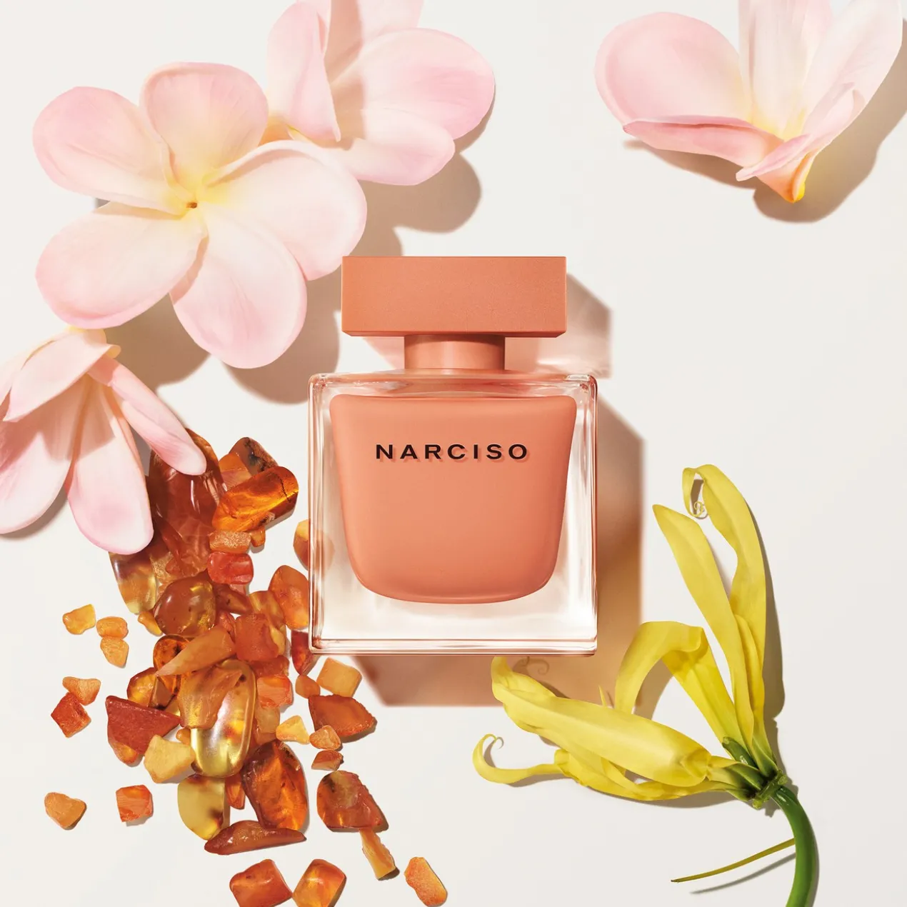 Narciso Ambrée Eau de Parfum
