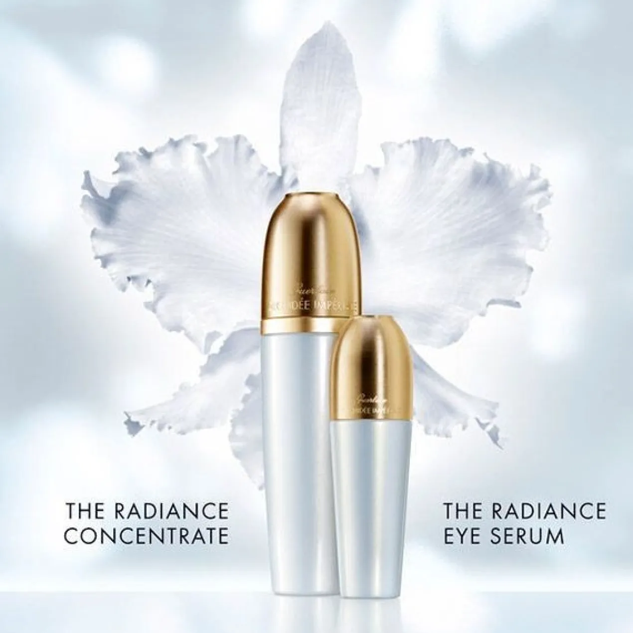 Orchidée Impériale Bright Eye Serum Contour des Yeux