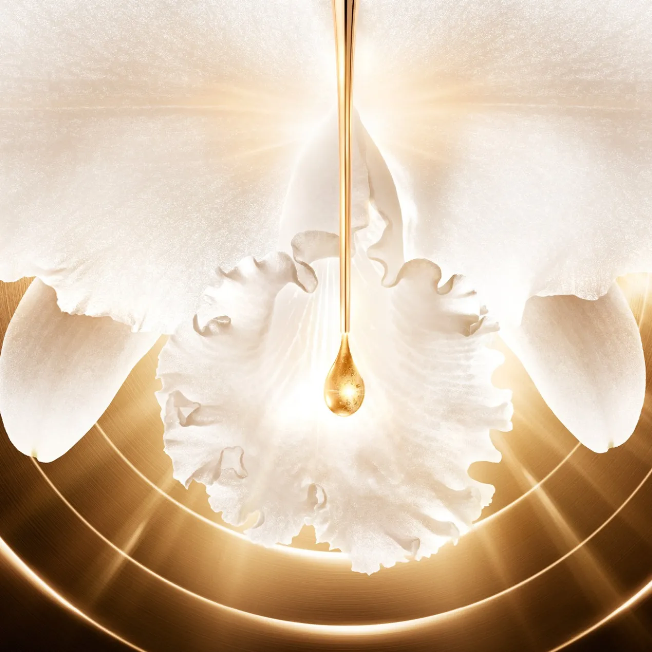 Orchidée Impériale Gold Nobile Sérum