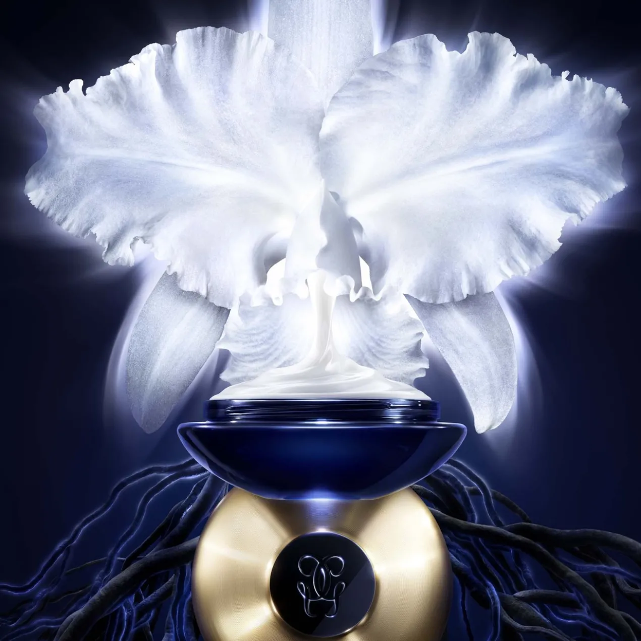 Orchidée Impériale La Crème