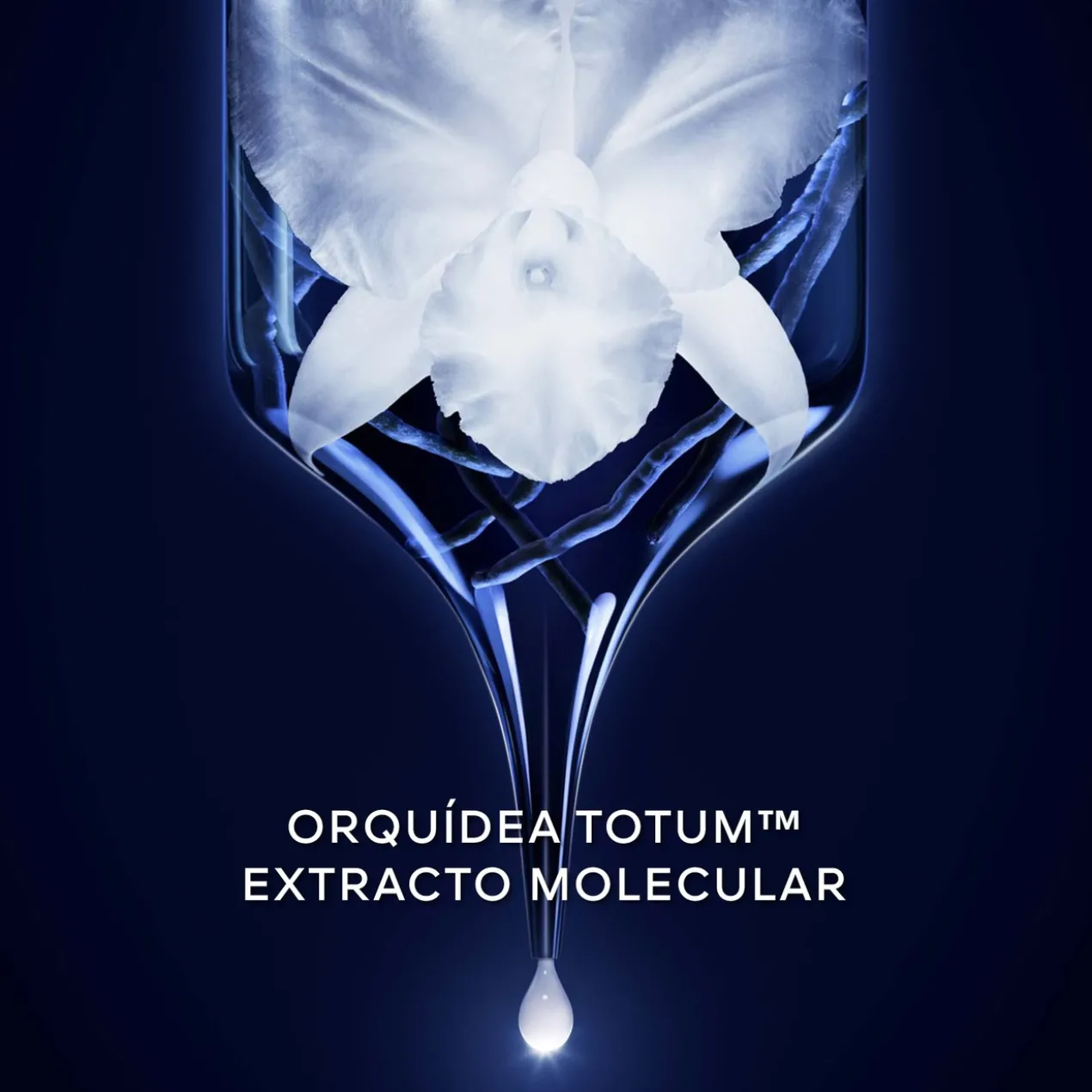 Orchidée Impériale Mousse Nettoyante
