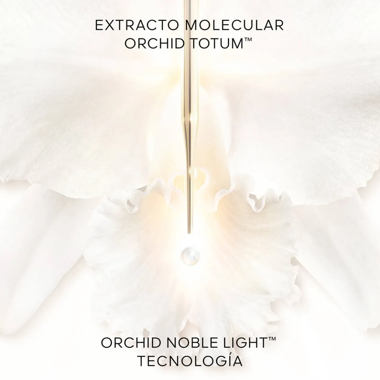 Orchidée Impériale Protection UV Globale