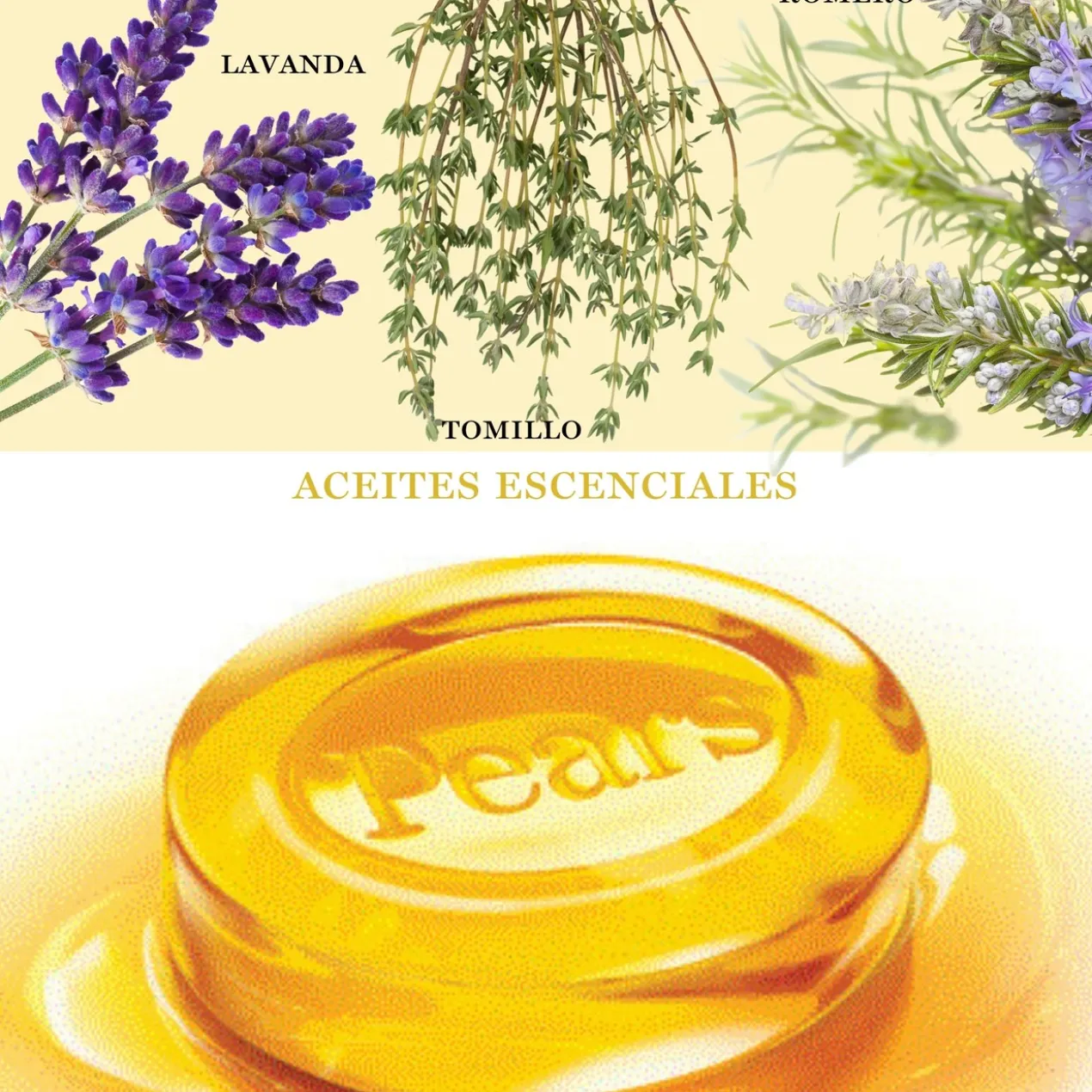 Pain de Savon Ambre
