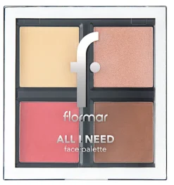 Palette Visage