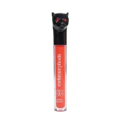Rouge à Lèvres Liquide