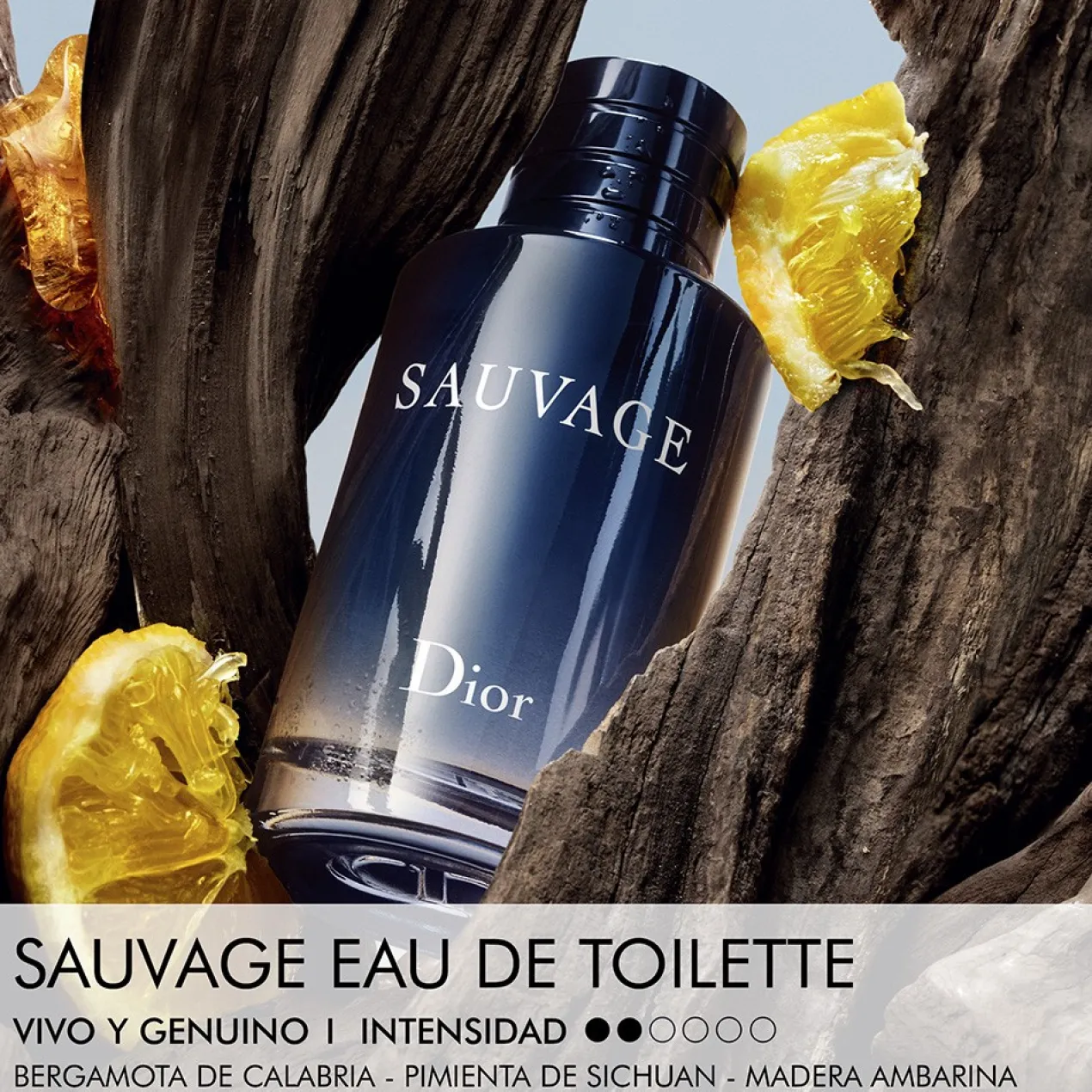 SAUVAGE Eau de Toilette