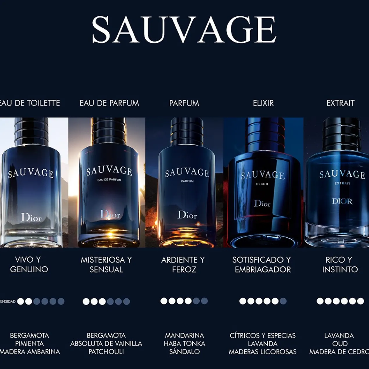 SAUVAGE Eau de Toilette