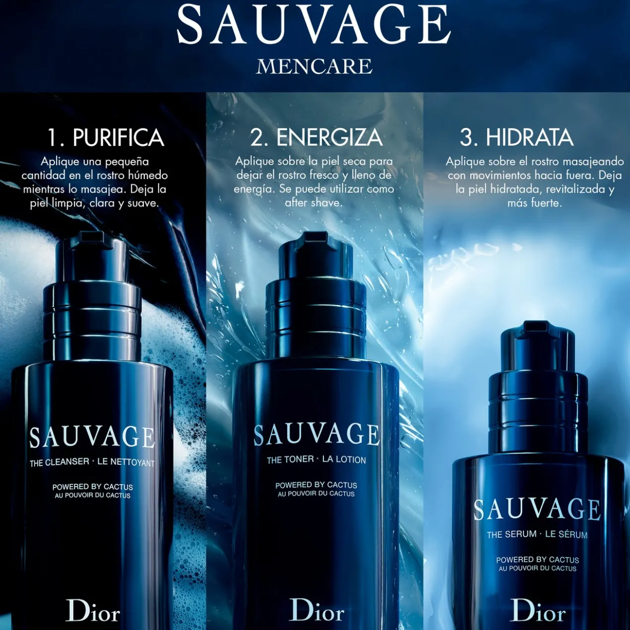 Sauvage Kit Rituel de Traitement