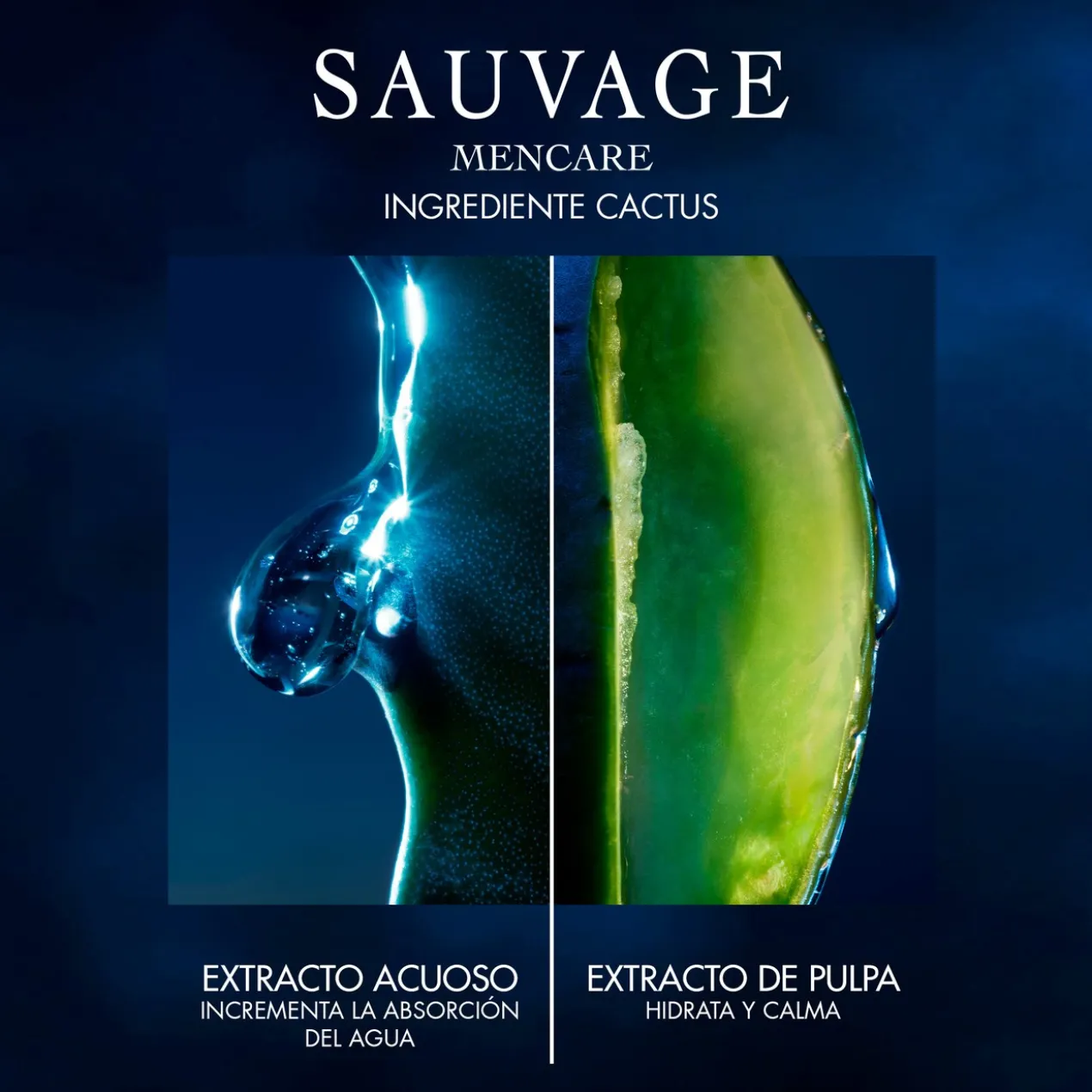 Sauvage Nettoyant pour le Visage