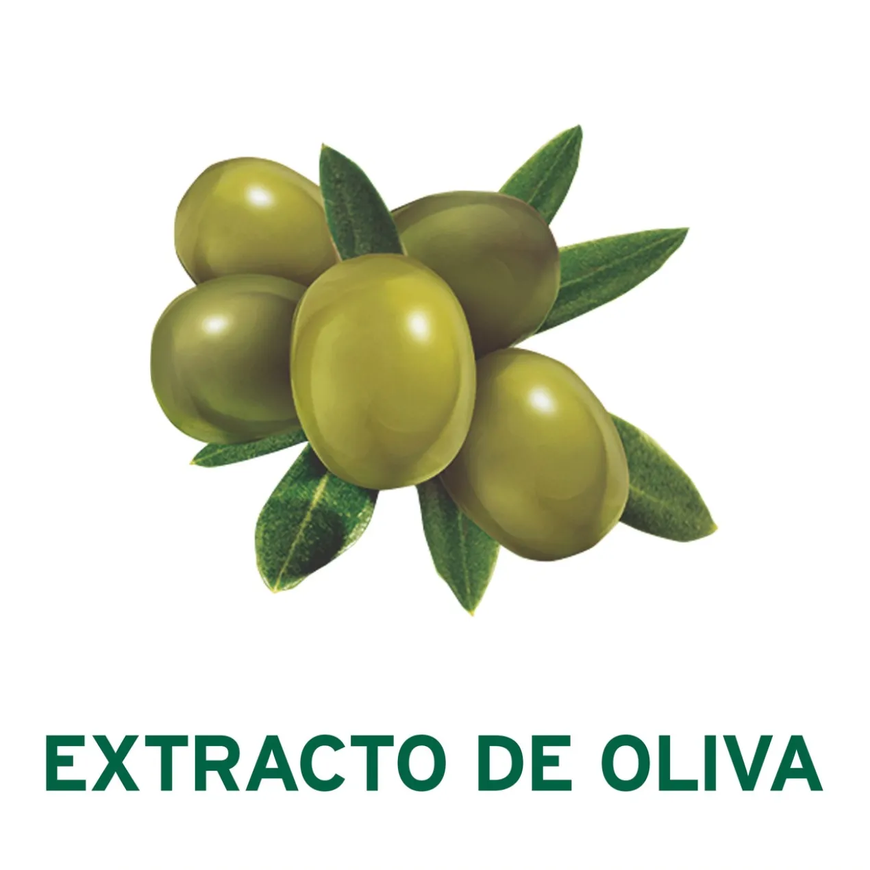 Savon en Pain Moisture Care Olive avec Extrait d'Olive