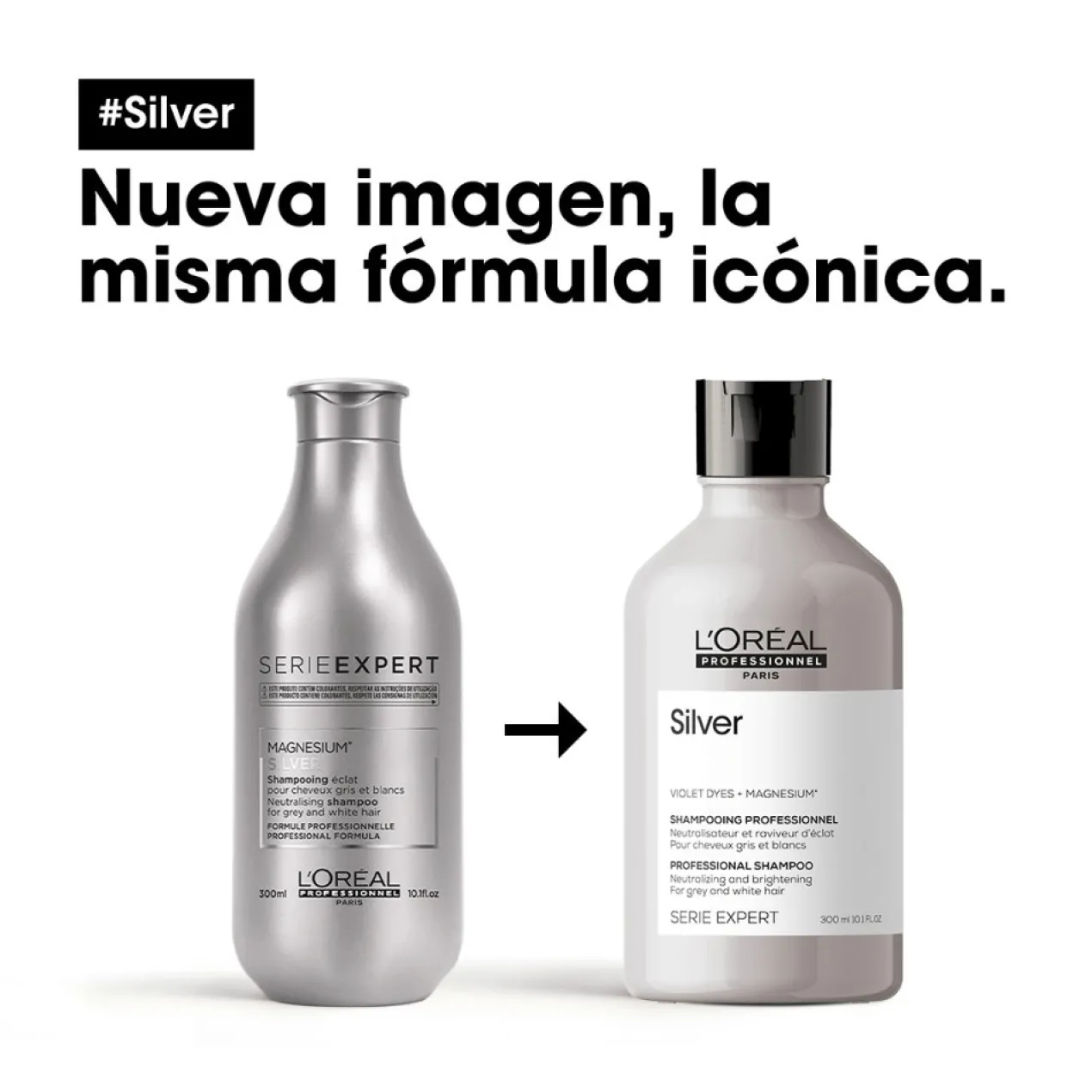 Serie Expert Silver Shampoing
