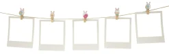 Set de Mini Pinces en Bois Licorne