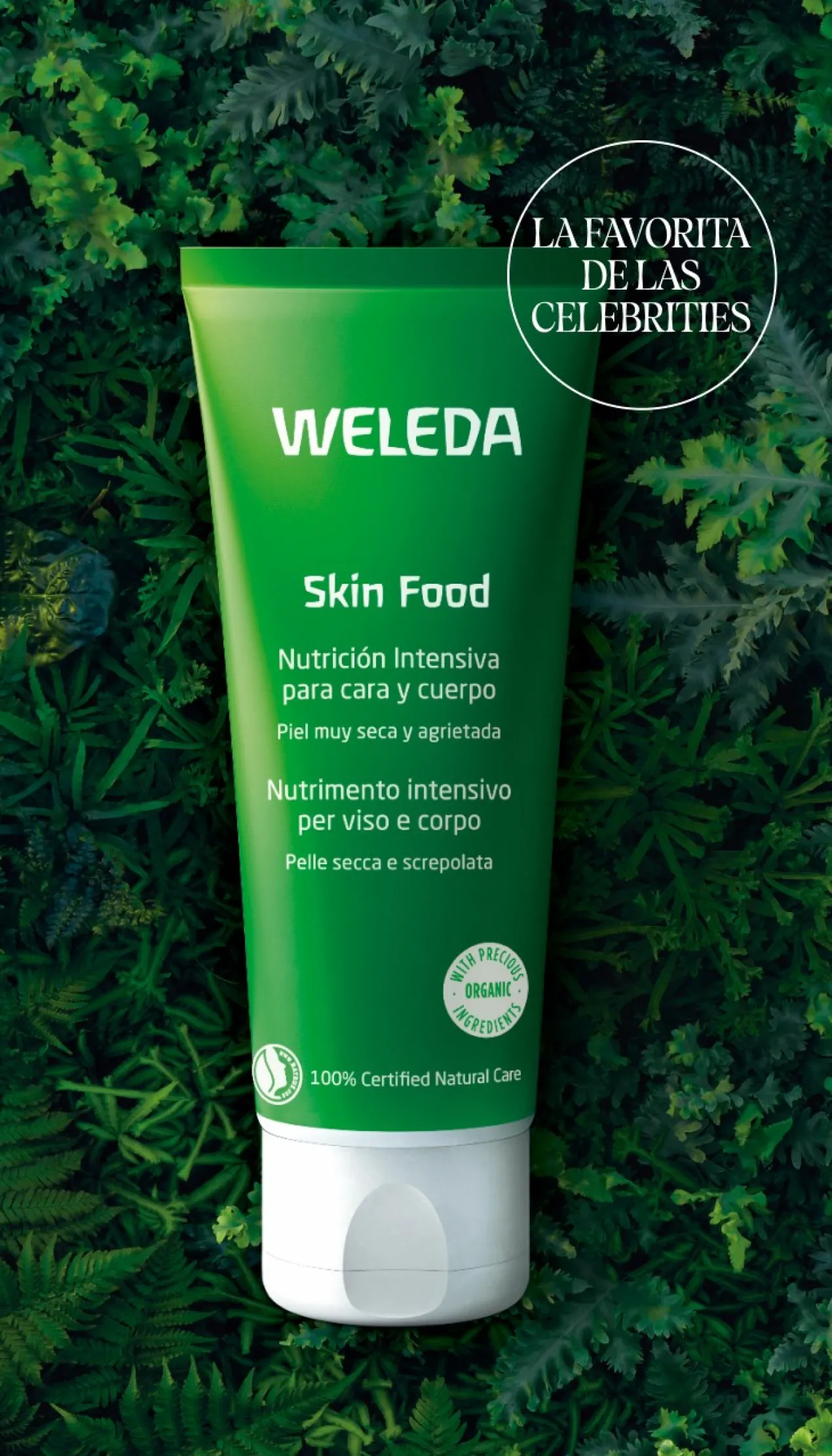Set Skin Food Glow Effect