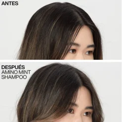 Shampoing Amino Mint Cheveux Gras