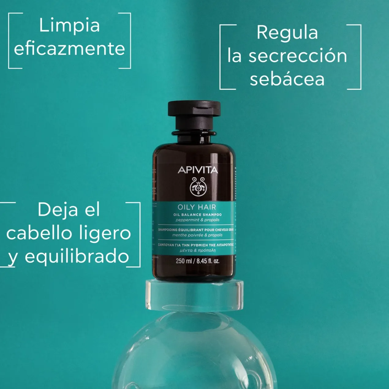 Shampoing cheveux gras