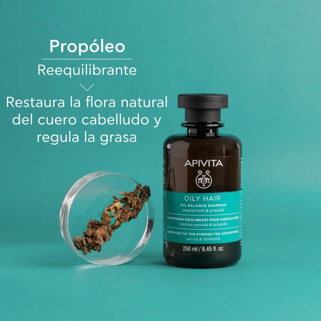 Shampoing cheveux gras