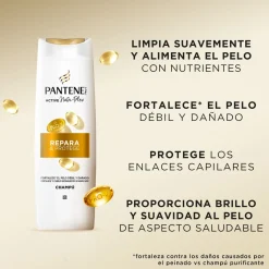 Shampoing + Masque Protecteur Active Nutri-Plex Pro-V Répare & Protège