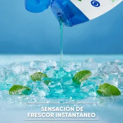 Shampoing Rafraîchissant au Menthol