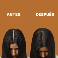 Shampoing Sec Brunettes