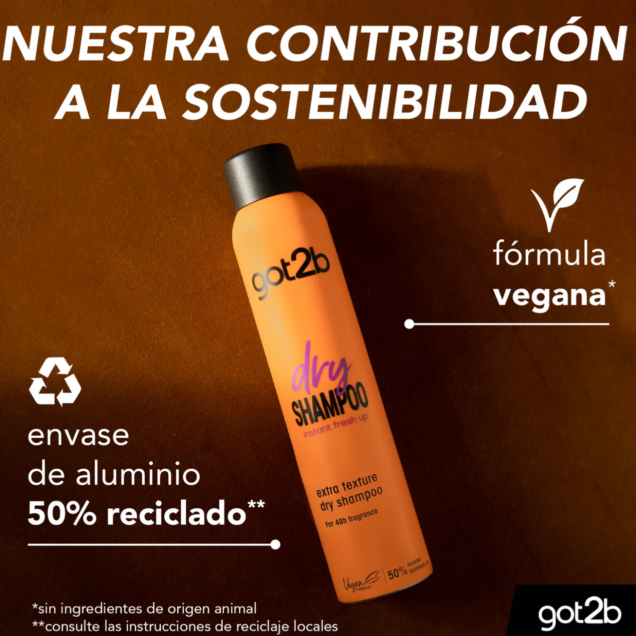 Shampoing Sec Fresh It Up Texture Extra