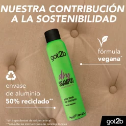 Shampoing Sec Instant Fresh-Up