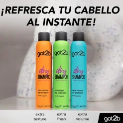Shampoing Sec Volume